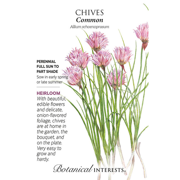 Chives common garden tower