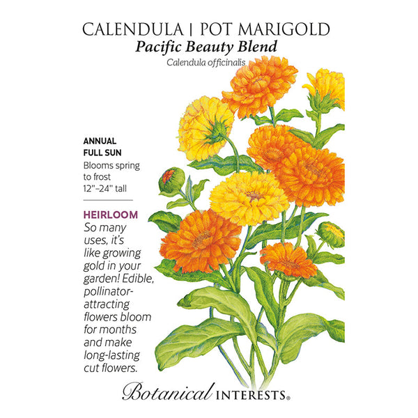 Calendula Pacific Beauty  Blend