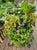 Garden Tower 2™, 50-Plant Composting Vertical Garden Planter