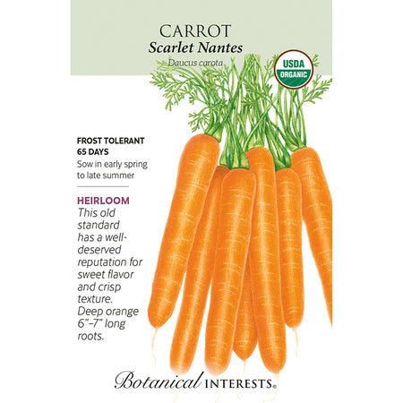 Carrot Scarlet Nantes