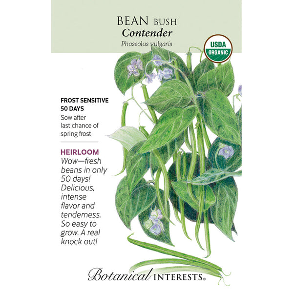 Bean  Bush (green) Contender Org
