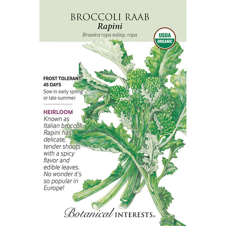 Broccoli Raab Rapini Org