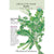 Broccoli Raab Rapini Org