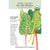 Swiss Chard  Five Color Org