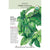 Basil Italian Genovese Org
