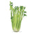 NEW Juicing Tower Container Seeds Collection