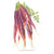 NEW Juicing Tower Container Seeds Collection