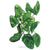 NEW Juicing Tower Container Seeds Collection